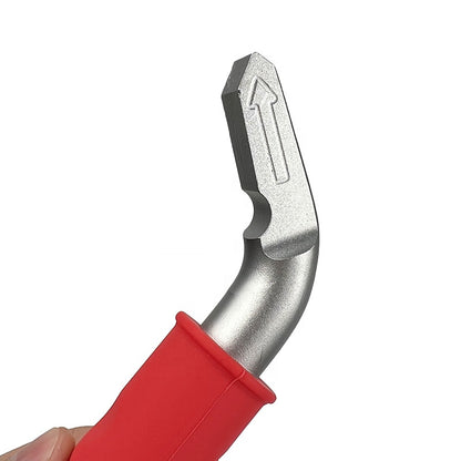 Auto Cane